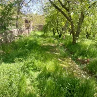 فشند ۷۵۰متر باغ با درختان میوه آب برق گاز