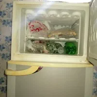 یخچال در حد نو