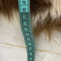 وکیل آباد|فرش|مشهد, وکیل‌آباد|دیوار