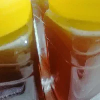 عسل کنار درجه یک بدون شکر خالص|خوردنی و آشامیدنی|نورآباد ممسنی, |دیوار