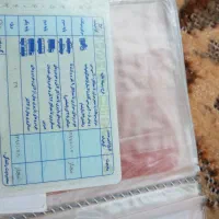 مدارک گم شده