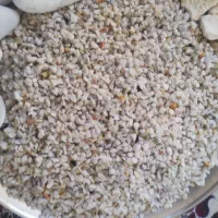 آکواریوم|ماهی|سقز, |دیوار