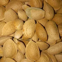 فروش خشکبار وحبوبات|خوردنی و آشامیدنی|صدرا-فارس, فاز ۱|دیوار