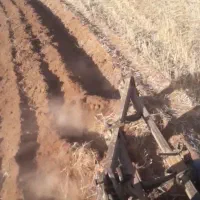 شخم زنی تراکتور