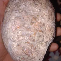 سنگ سنگ