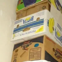 کارتن موزی|عمده‌فروشی|مهریز, |دیوار