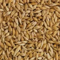 جو خارجی «دولتی»