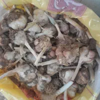 سیر خوشم درجه یک نهاوند