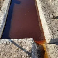 شیرابه کود گاوی ۲۰ لیتری ۱۰۰تومن