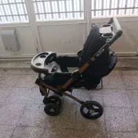 کالسکه دلیجان مدل بنیتا