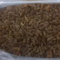 کشمش سبز قلمی آفتاب خشک،ارسال رایگان