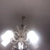 لوستر