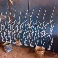 شاخگوزنی درب آکاردئون