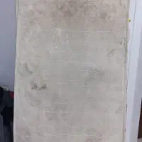 تشک تک نفره رویا