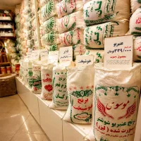 همراهان همیشگی فلاح چکی 4ماهه