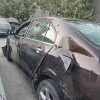 جیلی تصادفی ۲۰۱۳