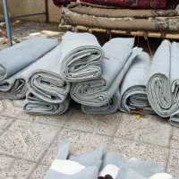 پوست گاو ارزان رسید|فرش|مشهد, هنرستان|دیوار