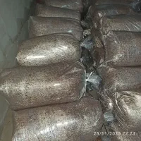 تفاله وهسته انار