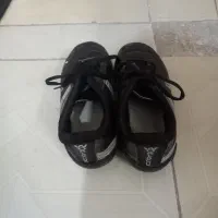 درحدنو|کیف، کفش، کمربند|قدس, شهر‌قدس|دیوار