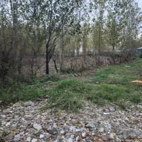 ۳ هزار متر مسکونی باغی (شهر باران حمید فلاح) 369|فروش زمین و ملک کلنگی|لشت نشا, |دیوار