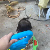 تخت کودک تمیز