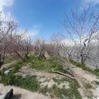 فروش-2205متر-باغ-2-ب-ر-شهریار-ا-س-کمان