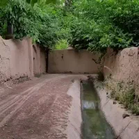 یک نفر همخانه موجه نیتز دارم اقا هستم