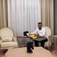 تولید کننده مبلمان فرانسوی و کاجی به قیمت تولید|مبلمان خانگی و میز عسلی|پردیس, شهرک صنعتی کمرد|دیوار