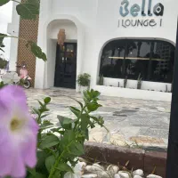 استخدام در بلابلا