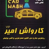 نیروی کارواش