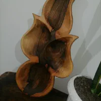 اردو خوری طرح گل  با چوب گردو