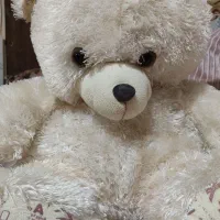 عروسک خرسی