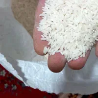 سلام برنج طارم دم سیاه