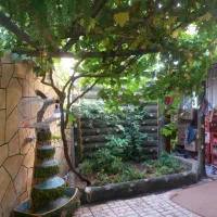 تزئنات باغ و ویلا