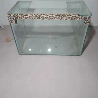 اکواریوم