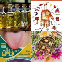 فرصت استثنایی برای بانوان