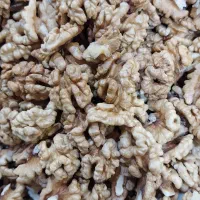 مغز گردو سنندج