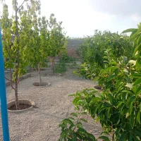 باغ ویلا در وایقان سوخلار|فروش خانه و ویلا|شبستر, |دیوار