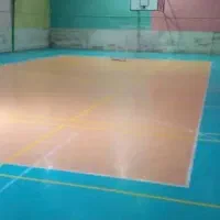 هم بازی والیبال