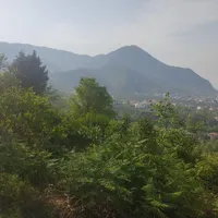 زمین باویوی رویایی،شراکت در ساخت کلبه واجاره شبانه|مشارکت در ساخت املاک|رامسر, |دیوار