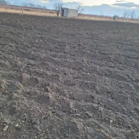 زمین برای اجاره ۱ هکتارو نیم