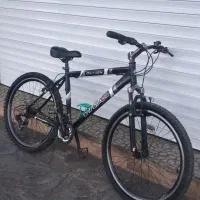 دوچرخه ویوا تایوانی