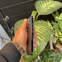 iPhone 13 Pro|موبایل|قم, علی آباد سعدگان|دیوار