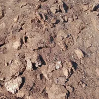 کود حیوانی تمیز