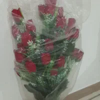 مصنوعی تنوع بالا