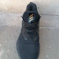 کفش اسپرت آدیداس ارجینال|کیف، کفش، کمربند|کرمانشاه, |دیوار