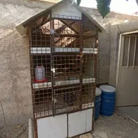 قفس یا جفت کن حیوانات خانگی