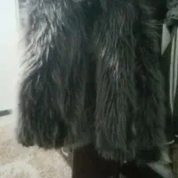 کاپشن خز|لباس|نسیمشهر, |دیوار