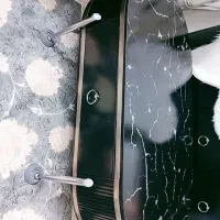 سرویس کامل ست نو|مبلمان خانگی و میز عسلی|گلبهار, شهر جدید گلبهار|دیوار