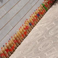 سرکه سیب طبیعی
